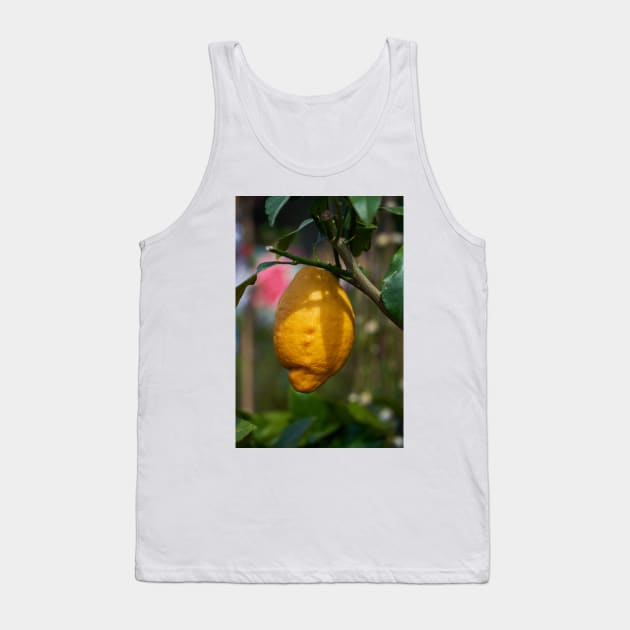 Single lemon in a tree Tank Top by naturalis